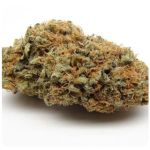 Шишки AK47 (Гидропоника, Бошка) VHQ в Новодвинске Шишки AK47 (Гидропоника, Бошка) VHQ в Новодвинске